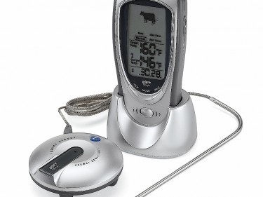 Weber talking thermometer